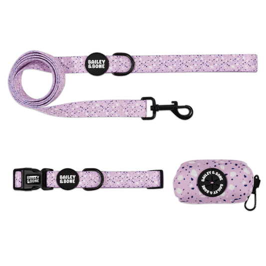 Lavender Terrazzo Collar And Lead Bundle