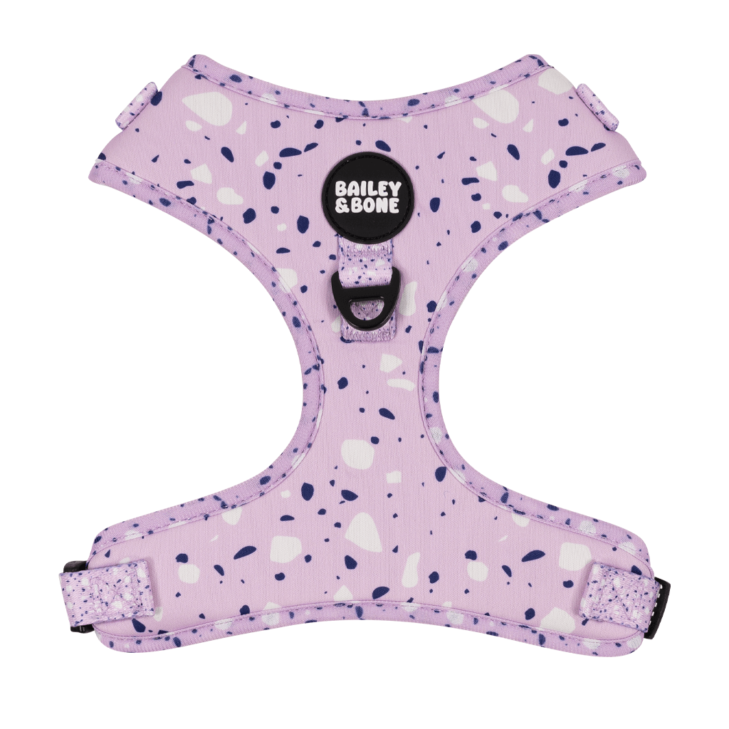 Lavender Terrazzo Complete Bundle