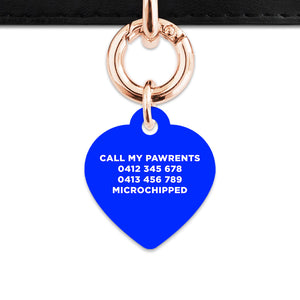 Blue Flames Pet ID Tag