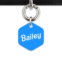 Blue Barbie Pet ID Tag