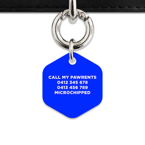 Blue Flames Pet ID Tag