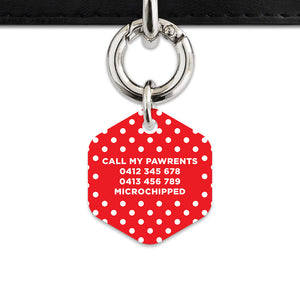 Red And White Polka Dots Pet ID Tag