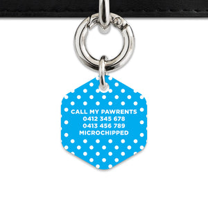 Blue And White Polka Dots Pet ID Tag