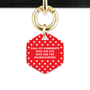 Red And White Polka Dots Pet ID Tag