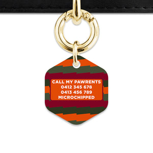 Green And Orange Spooky Stripes Pet ID Tag