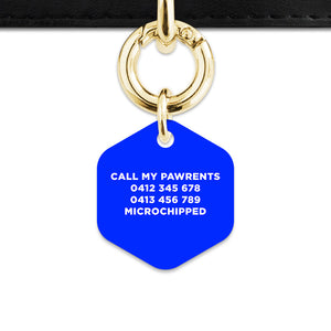 Blue Flames Pet ID Tag