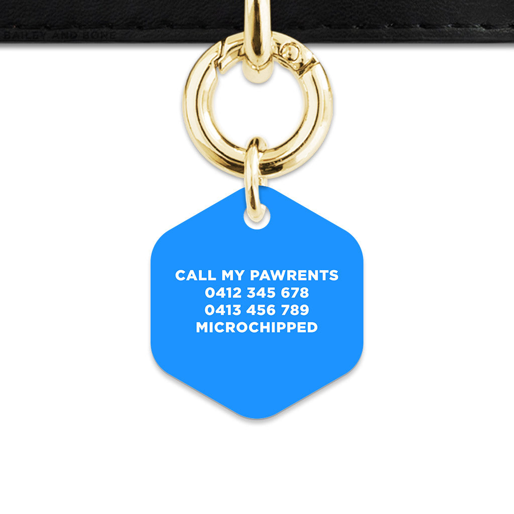 Blue Barbie Pet ID Tag