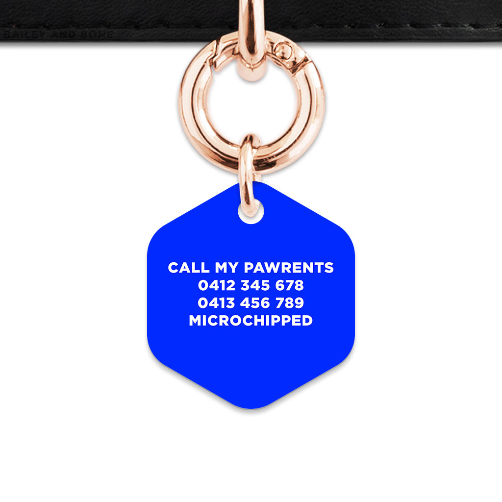 Blue Flames Pet ID Tag