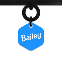 Blue Barbie Pet ID Tag