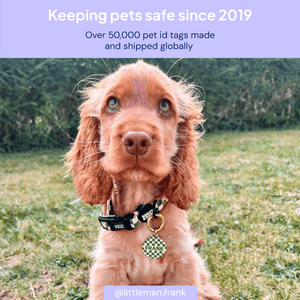 Green And Beige Checkers Pet ID Tag