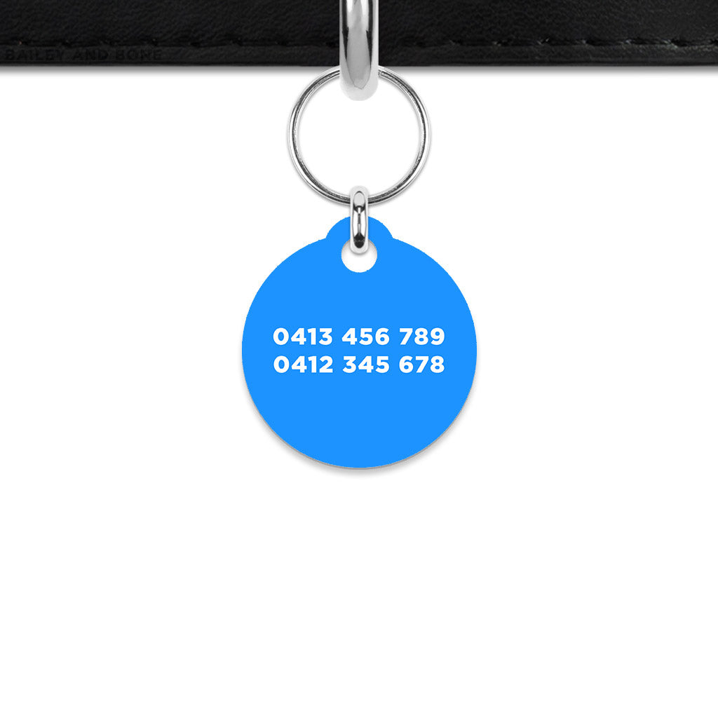 Blue Barbie Mini Pet ID Tag