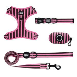Pink and Brown Stripes Bailey Bundle