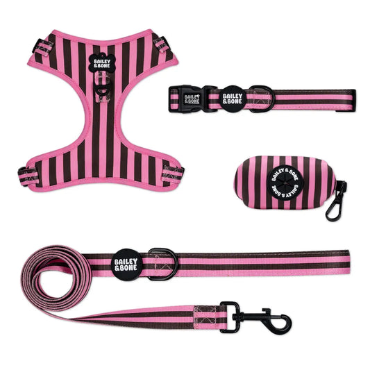 Pink and Brown Stripes Bailey Bundle