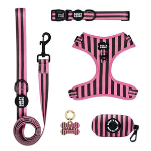 Pink and Brown Stripes Complete Bundle