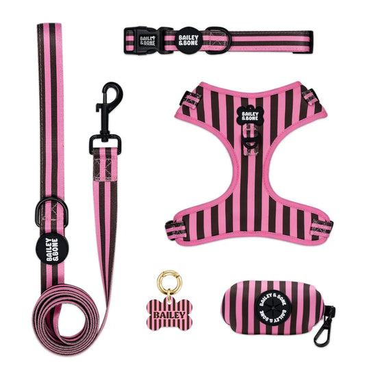 Pink and Brown Stripes Complete Bundle