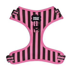 Pink and Brown Stripes Harness Bundle