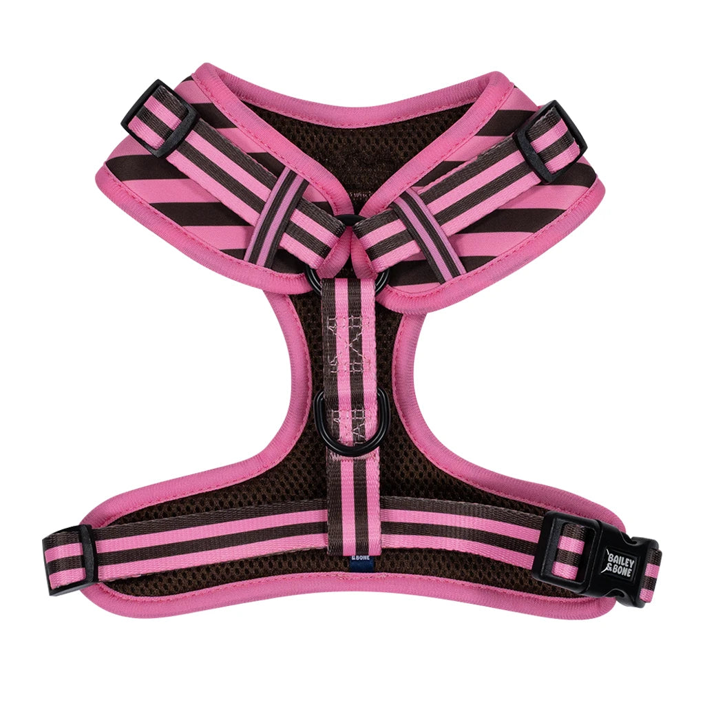 Pink and Brown Stripes Bailey Bundle