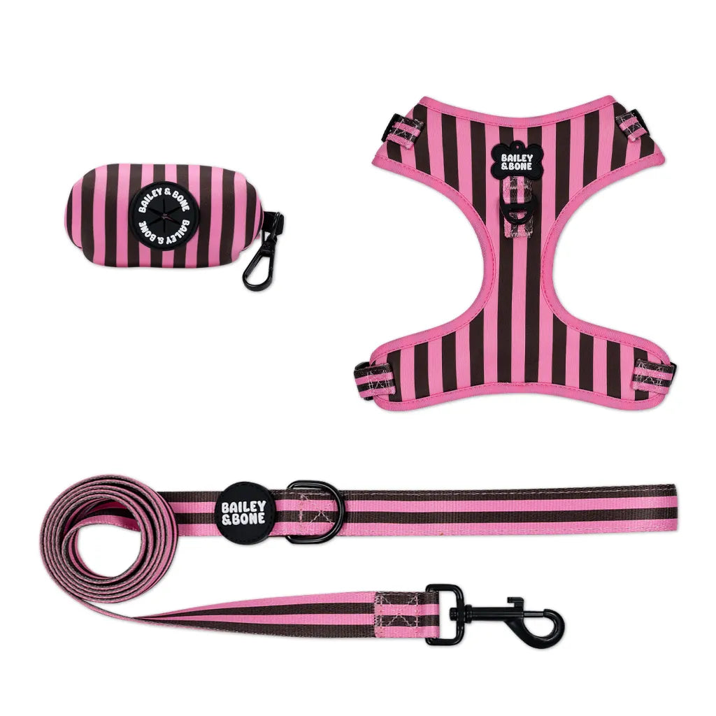 Pink and Brown Stripes Harness Bundle