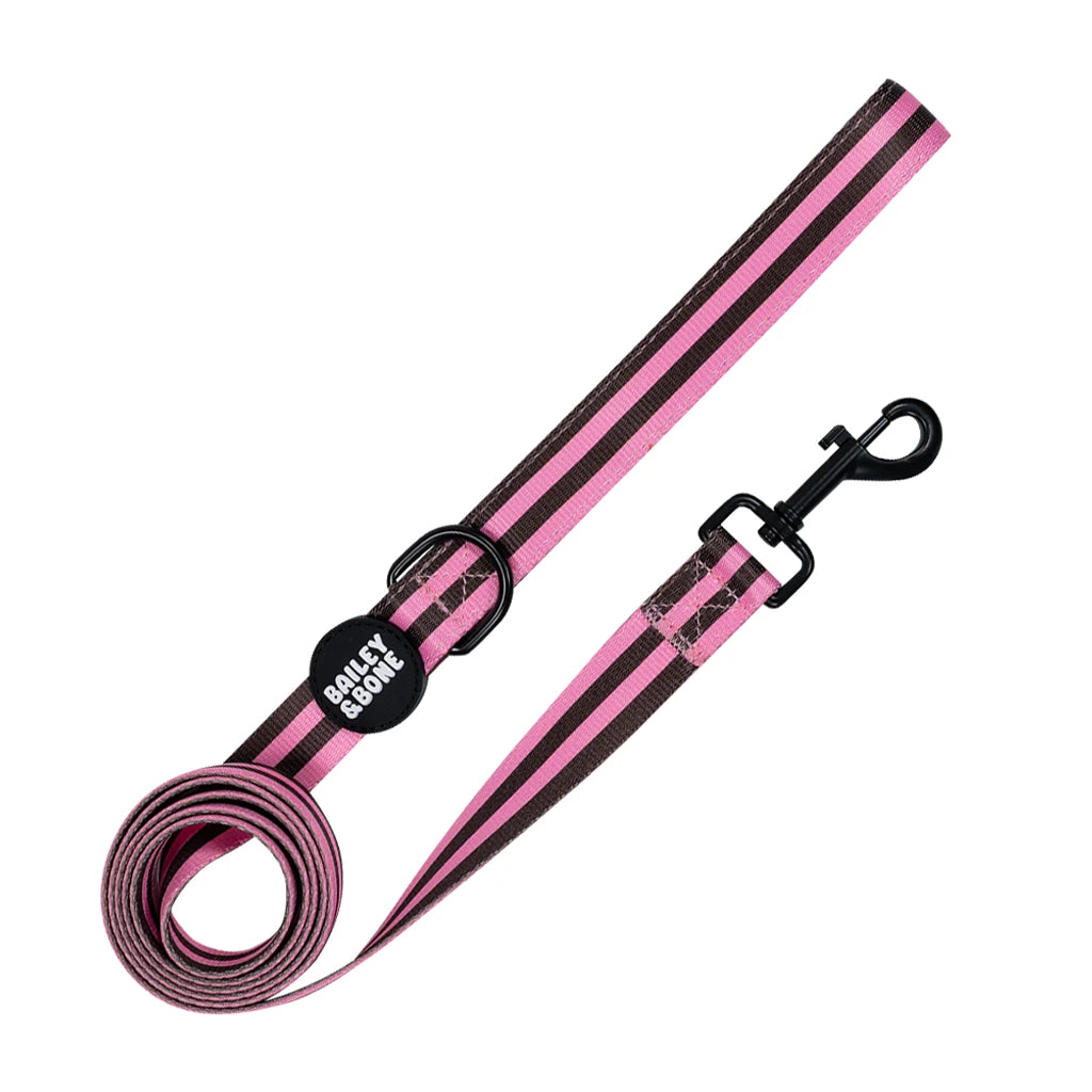 Pink and Brown Stripes Bailey Bundle
