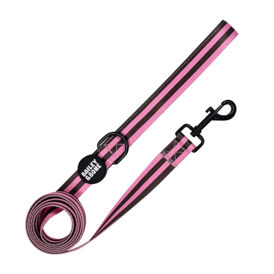 Pink and Brown Stripes Dog Lead