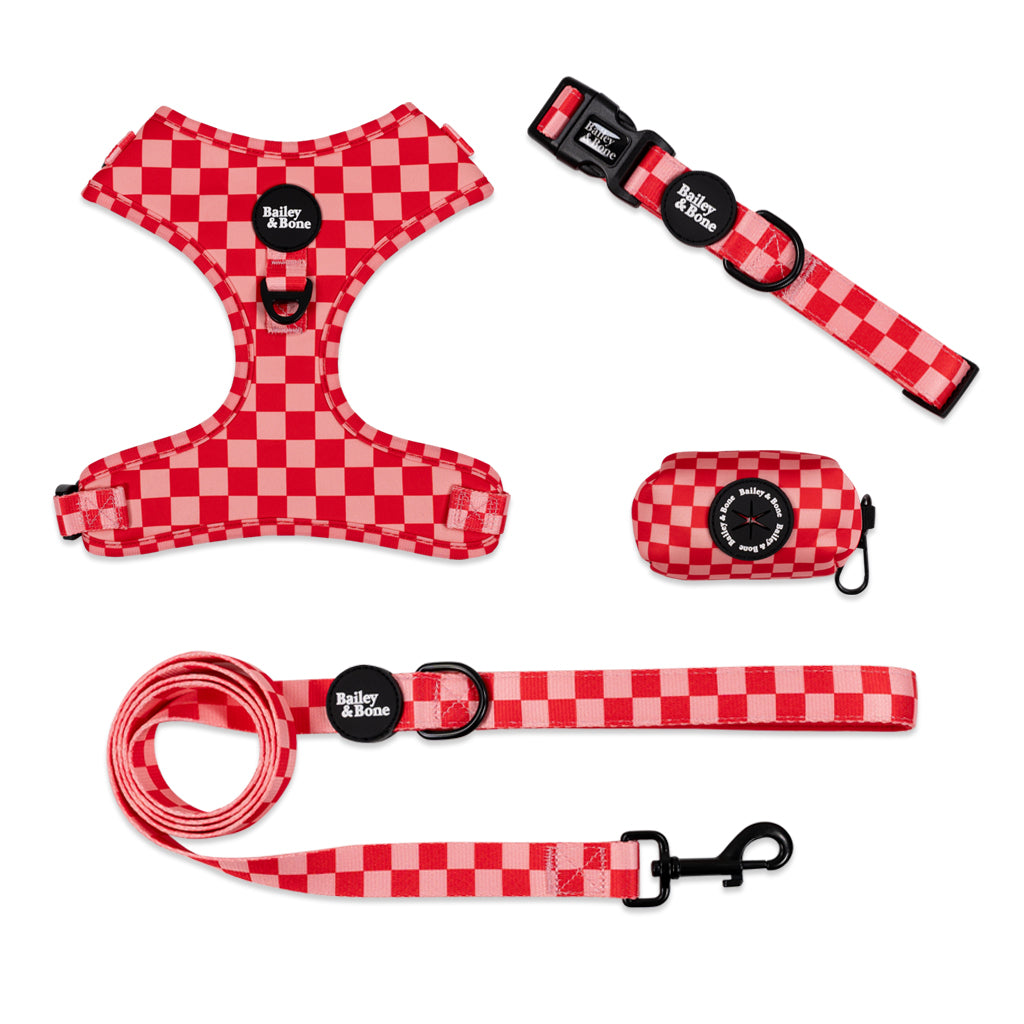 Pink And Red Checkers Bailey Bundle