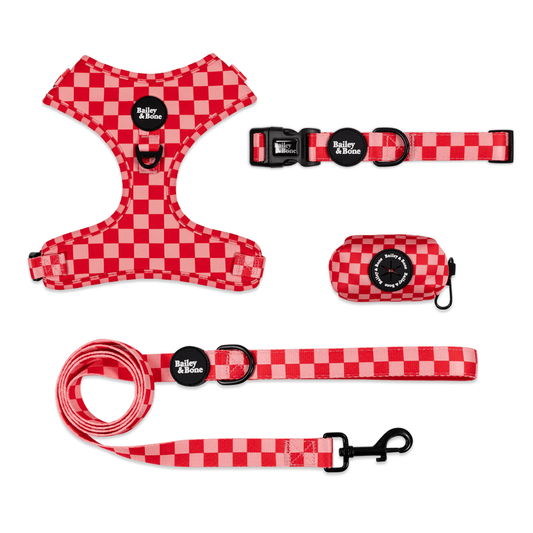 Pink And Red Checkers Bailey Bundle