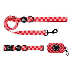 Pink And Red Checkers Collar And Lead Bundle