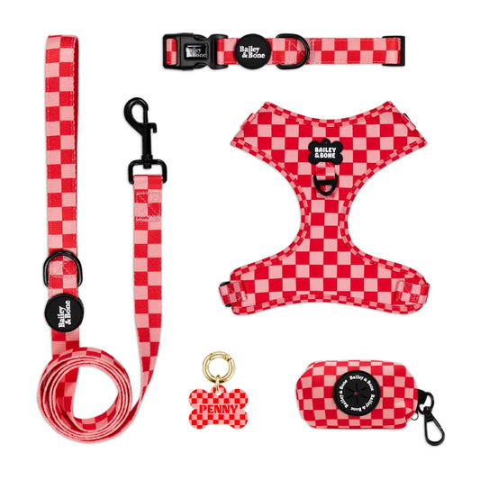 Pink And Red Checkers Complete Bundle
