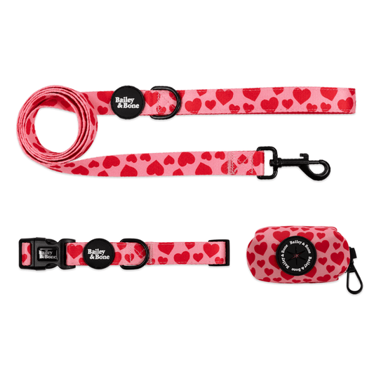 Pink And Red Hearts Collar And Lead Bundle