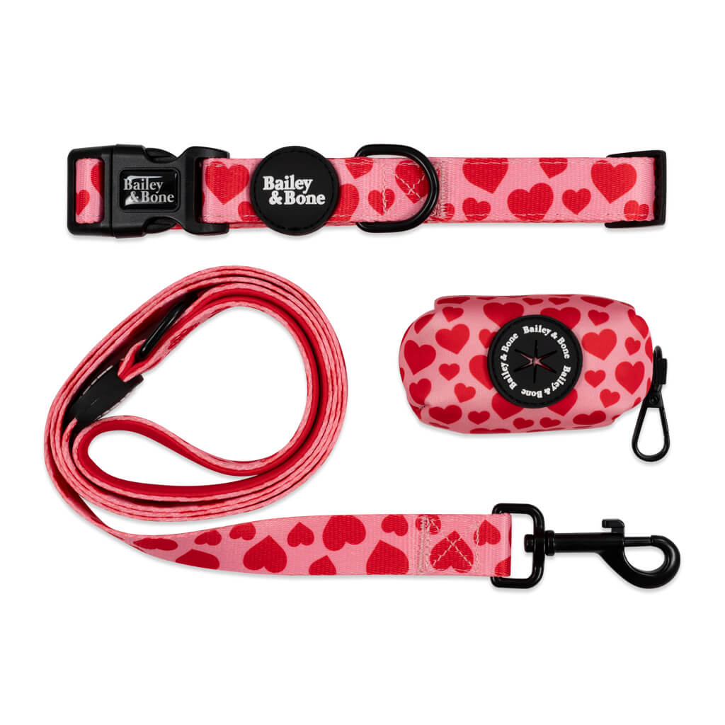 Pink And Red Love Hearts Collar And Lead Bundle