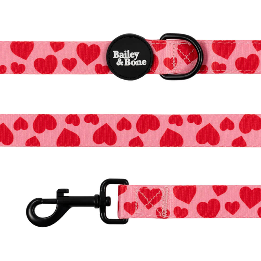 Pink And Red Love Hearts Lead