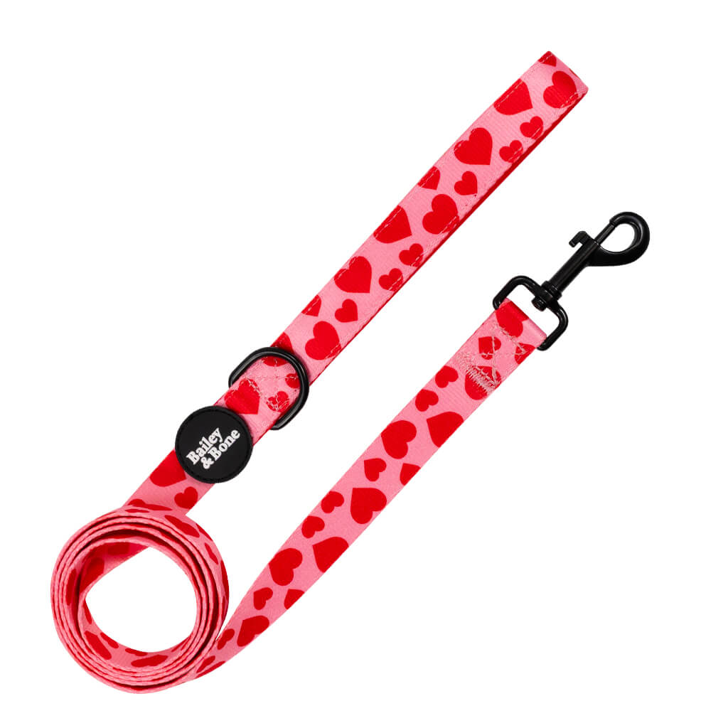 Pink And Red Love Hearts Lead
