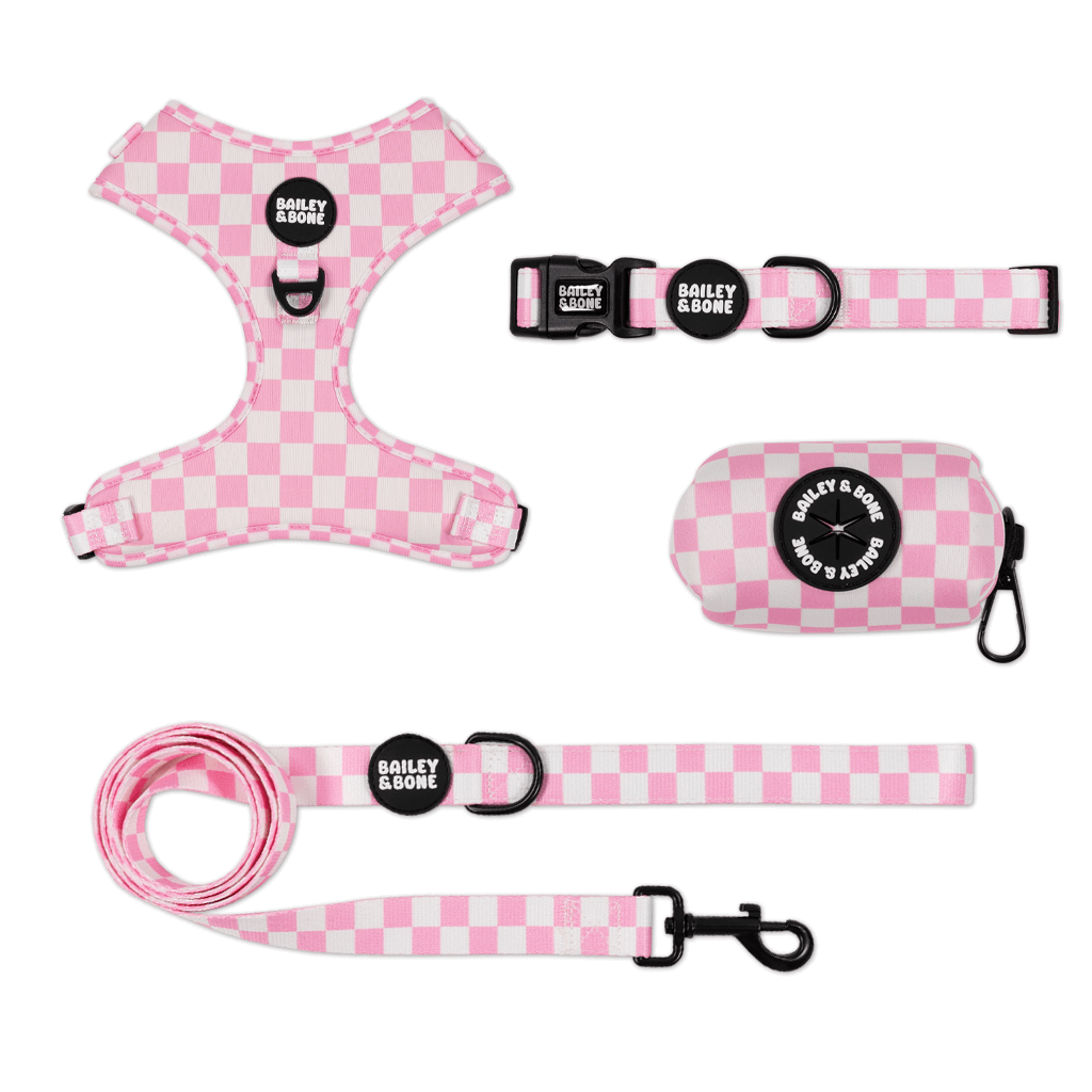 Pink And White Checkers Bailey Bundle