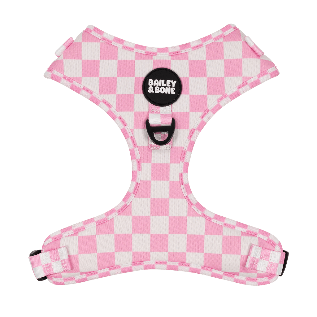 Pink And White Checkers Dog Harness – Bailey And Bone