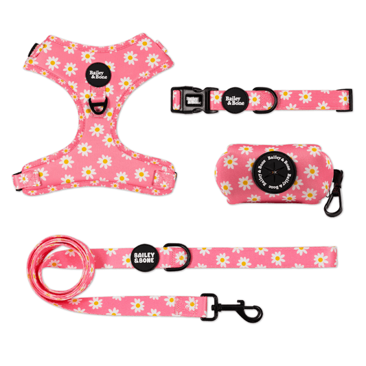 Pink Daisy Pattern Bailey Bundle
