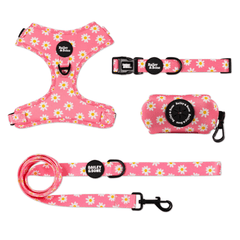 Pink Daisy Pattern Bailey Bundle