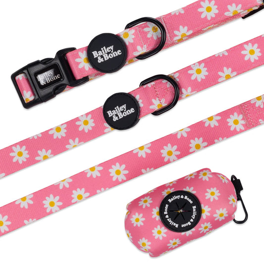 Pink Daisy Pattern Collar And Lead Bundle