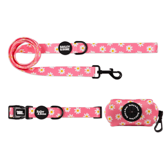 Pink Daisy Pattern Collar And Lead Bundle