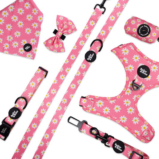 Pink Daisy Pattern Complete Bundle