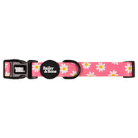 Pink Daisy Pattern Collar And Lead Bundle