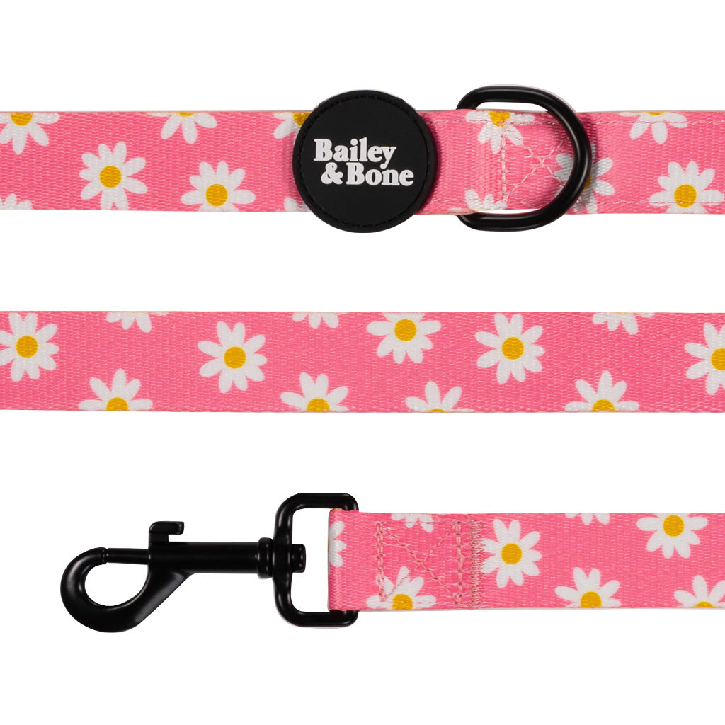 Pink Daisy Pattern Collar And Lead Bundle