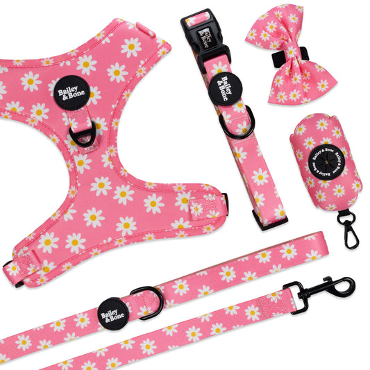 Pink Daisy Pattern Walk Set