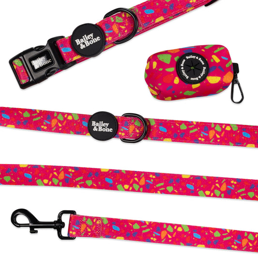 Pink Rainbow Terrazzo Collar And Lead Bundle