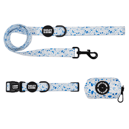 Sky Terrazzo Collar And Lead Bundle