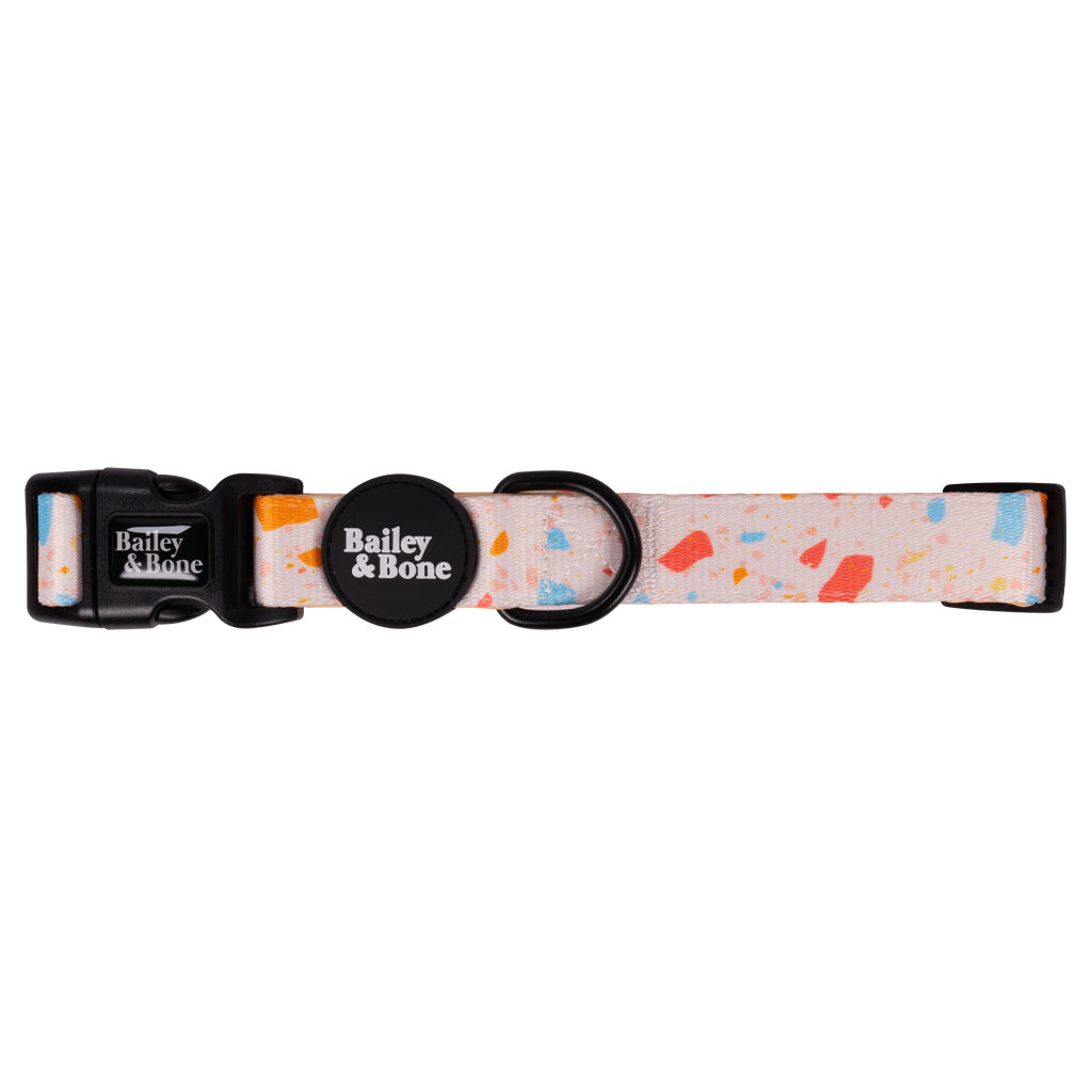 Summer Terrazzo Collar And Lead Bundle