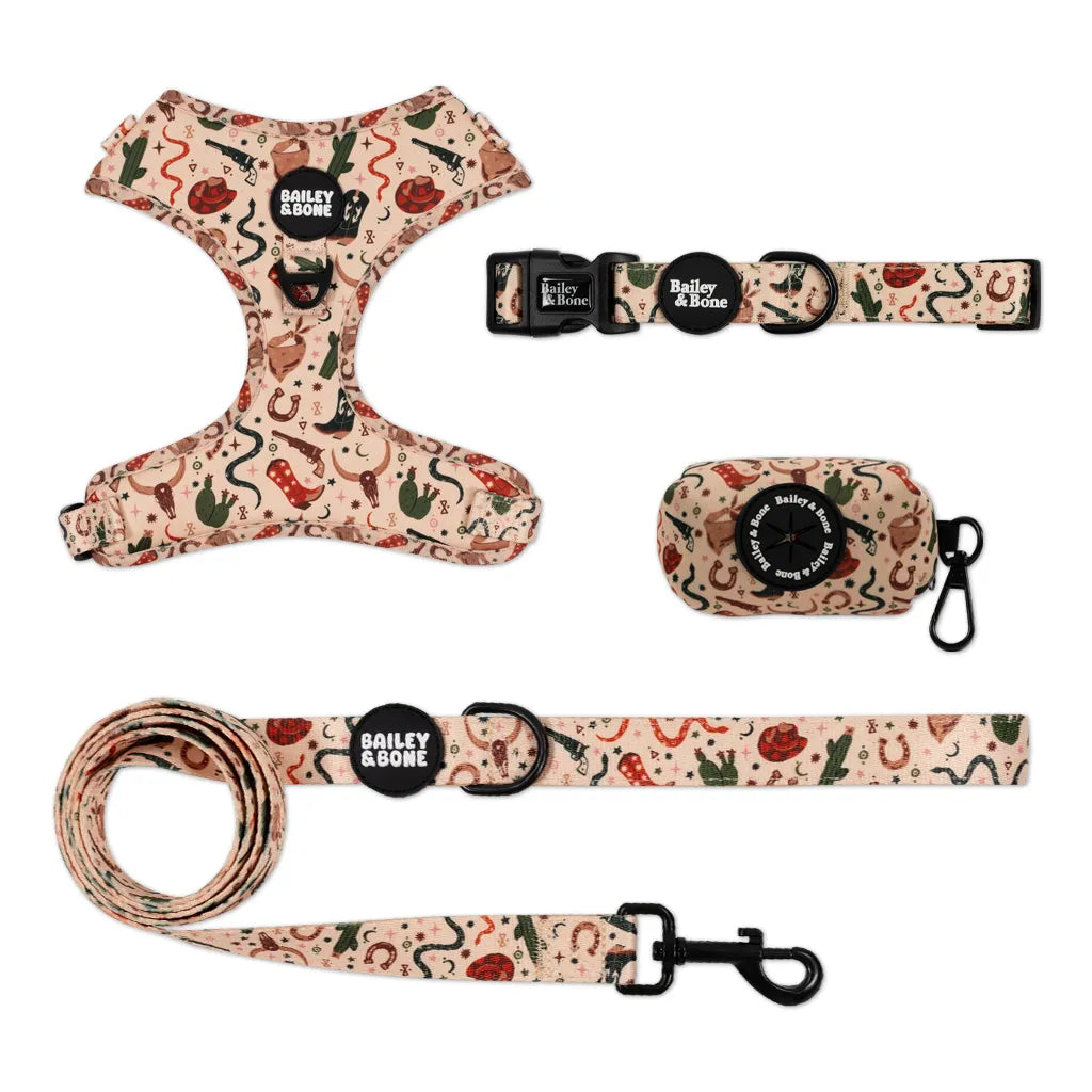 Wild Wild West Bailey Bundle
