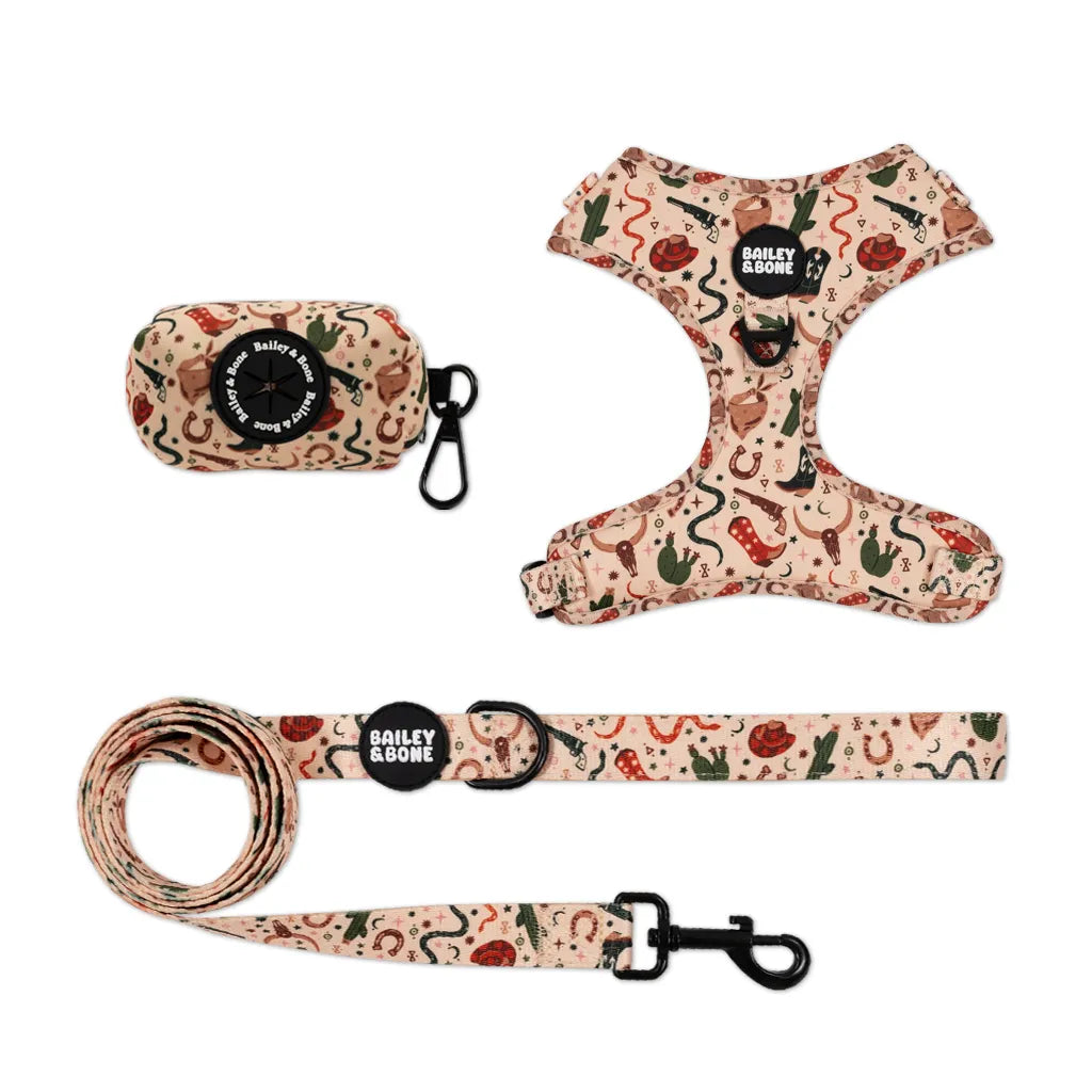 Wild Wild West Harness Bundle