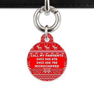 Bailey And Bone Christmas Sweater Pet Tag