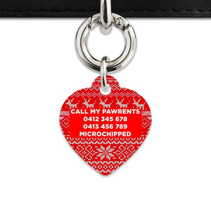 Bailey And Bone Christmas Sweater Pet Tag