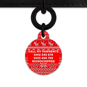 Bailey And Bone Christmas Sweater Pet Tag
